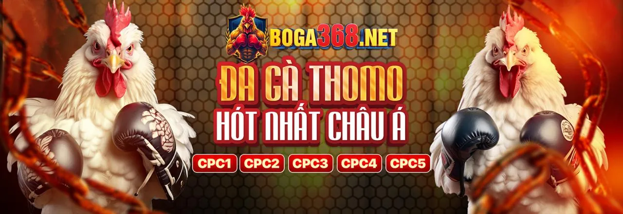 Tổng quan đá gà trực tuyến Hello88 Dis